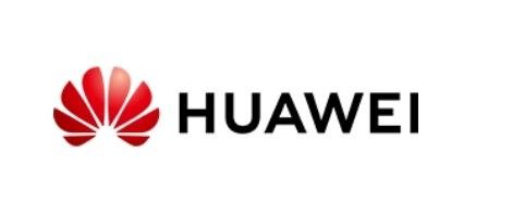 Huawei Info S1 [IMEI]